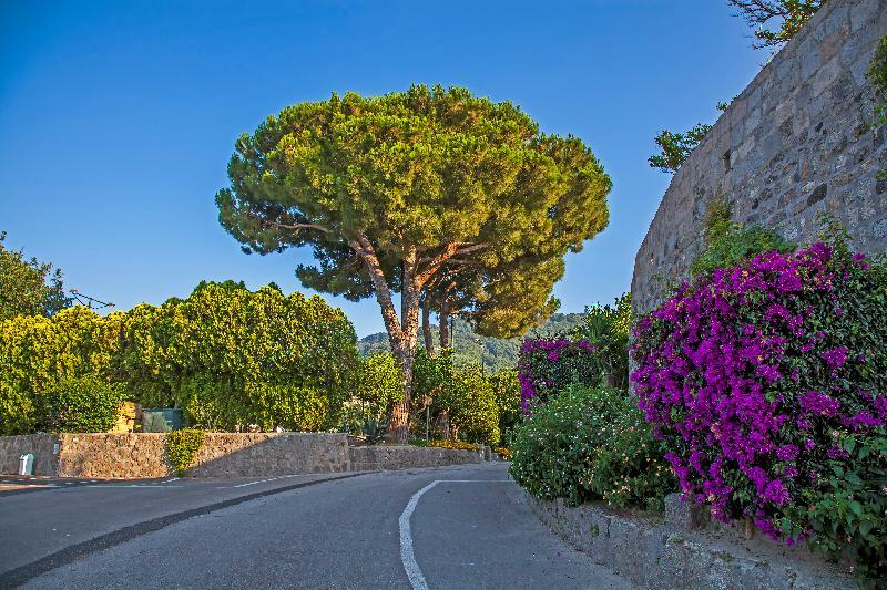 Elma Park Hotel Terme & Spa Casamicciola Terme Eksteriør bilde